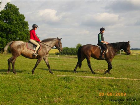 2009_06_Tordis_Bella#7C97F8