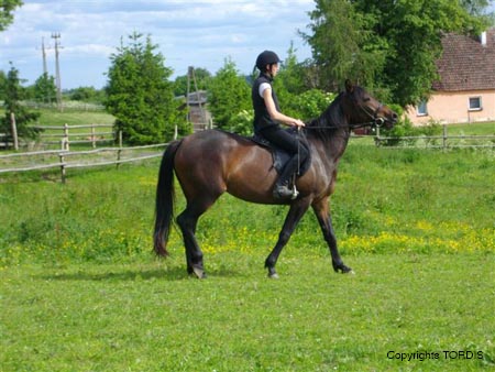 2009_06_Tordis_Bella1