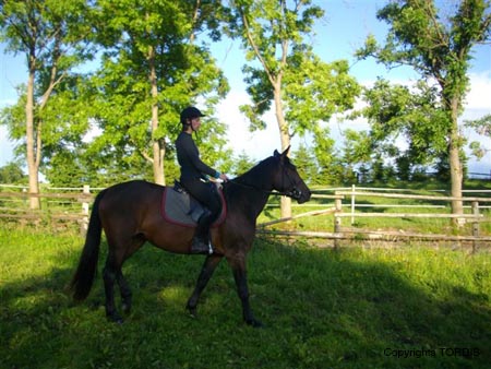 2009_06_Tordis_Bella4