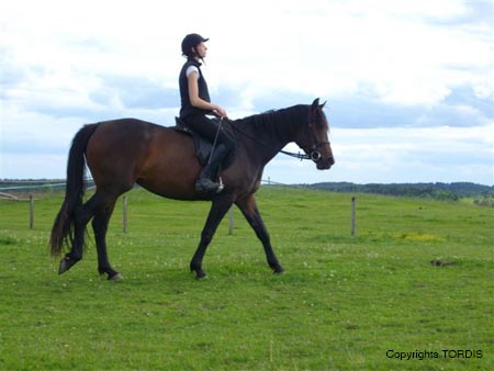 2009_06_Tordis_Bella7