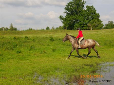 2009_06_Tordis_Bella_Agawa4