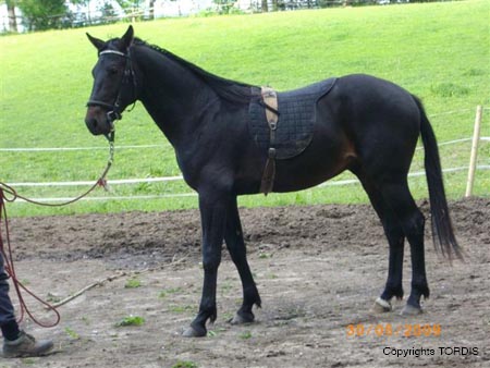 2009_06_Tordis_CantWay2