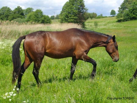 2009_06_Tordis_Connor