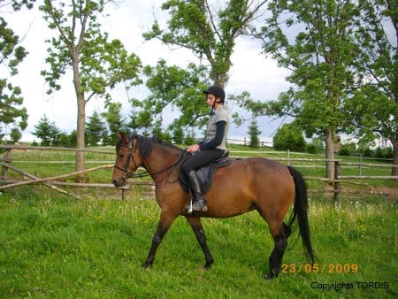 2009_06_Tordis_Viva1