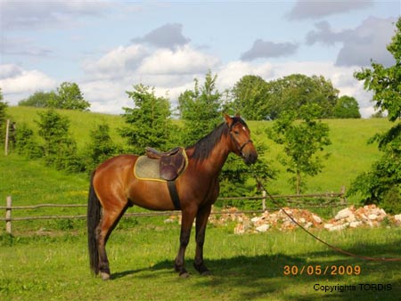 2009_06_Tordis_Zefir2