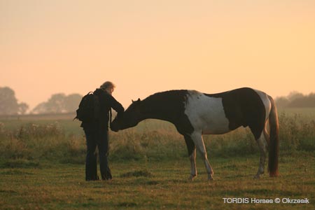 2009_08_Tordis_Horses025