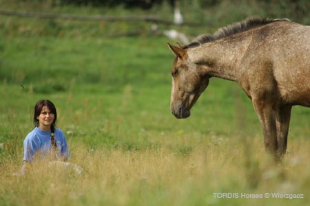 2009_08_Tordis_Horses2_105