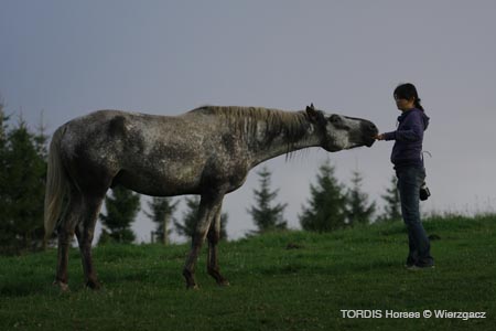 2009_08_Tordis_Horses2_116