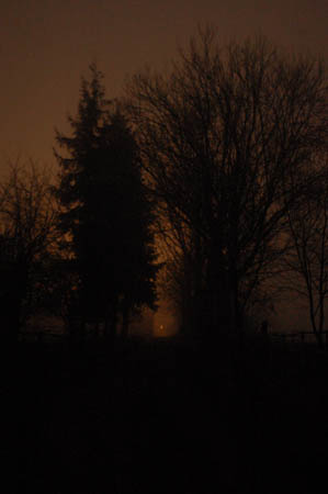 DSC_0477459M.Mroz84kop0010