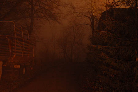 DSC_0510483M.Mroz84kop0013