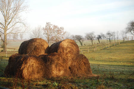 DSC_0576531M.Mroz84kop0015