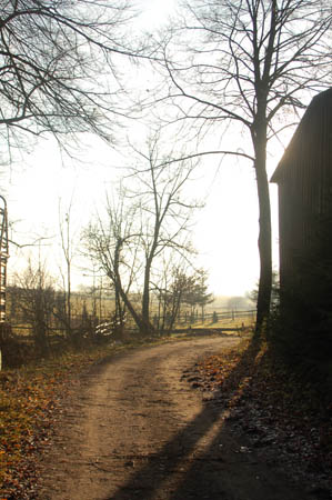 DSC_0586539M.Mroz84kop0016