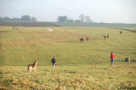 DSC_0672618M.Mroz84kopie