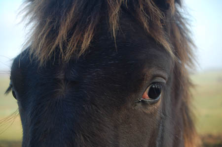 DSC_0768713M.Mroz84kop0029