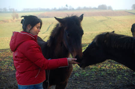 DSC_0816761M.MrozBella0034