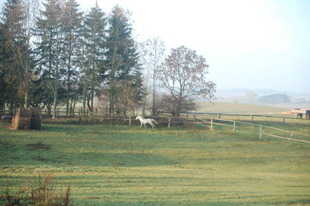 DSC_0827772M.Mroz84kop0035