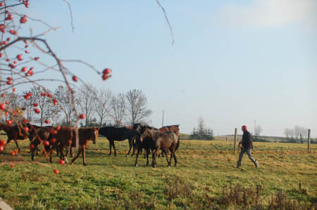 DSC_0865330M.Mroz84kop0039