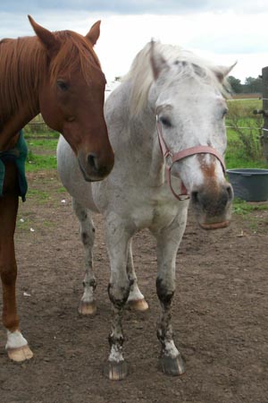 FranziskaTrojak07A001