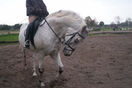 FranziskaTrojak07A010