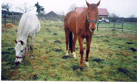 FranziskaTrojak07A011