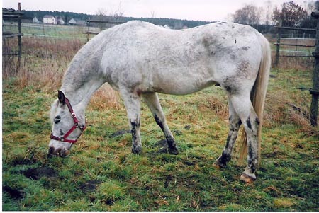 FranziskaTrojak07A012