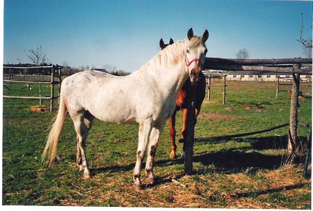 FranziskaTrojak07A013