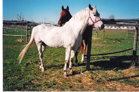 FranziskaTrojak07A014