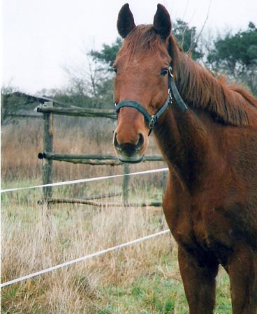 FranziskaTrojak07A015