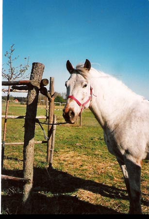 FranziskaTrojak07A016