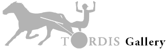 Logo &copy; Todis 2005