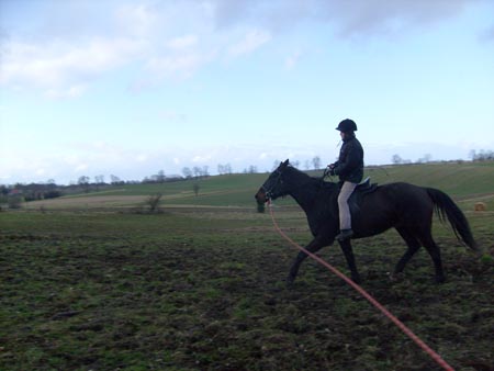 MartaAgata_TORDIS_2008_3_10