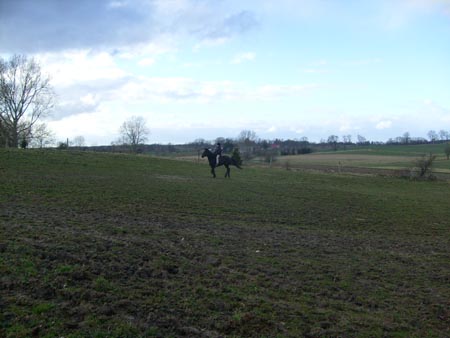 MartaAgata_TORDIS_2008_3_11