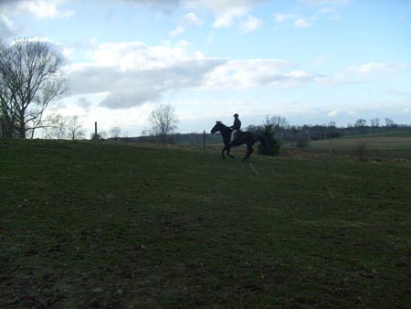 MartaAgata_TORDIS_2008_3_12