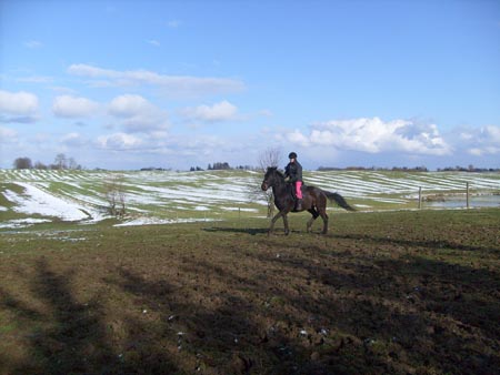 MartaAgata_TORDIS_2008_3_19