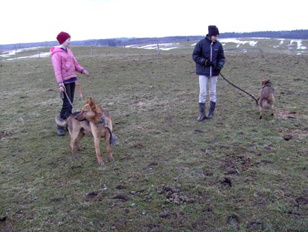 MartaAgata_TORDIS_2008_3_23