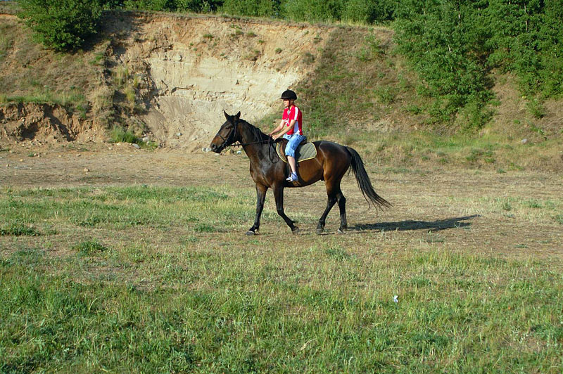 08.6.7FestNoweWorowo_128