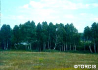 Gestüt Tordis