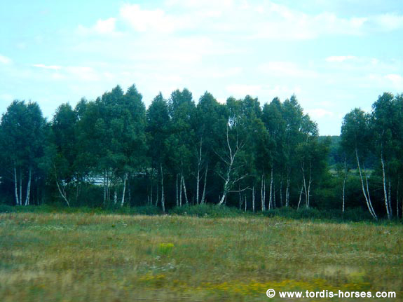 Kleiner Tal