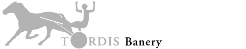 Logo  Todis 2005