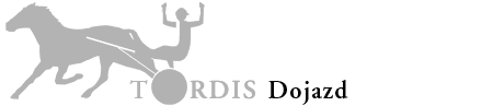 Logo  Todis 2005