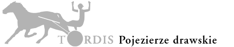 Logo  Todis 2005