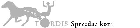 Logo  Todis 2005