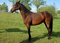 Tordis Kana